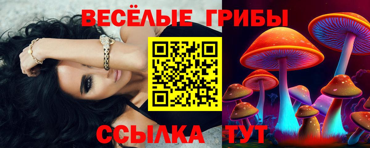 Псилоцибиновые грибы GOLDEN TEACHER  Вход с VPN  Ковров 